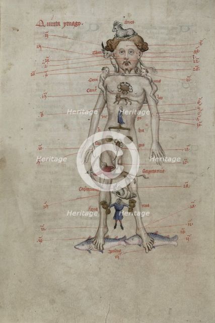 A Zodiac Man diagram showing the seasons for bloodletting. From Liber Cosmographiae, 1408.