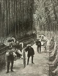 A Bamboo Avenue at Kyoto 1910. Creator: Herbert Ponting