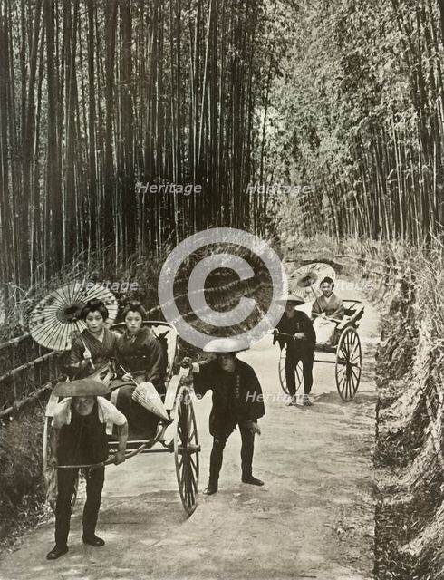 'A Bamboo Avenue at Kyoto', 1910. Creator: Herbert Ponting.