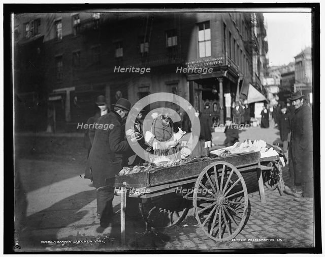 A banana cart, New York, c1900. Creator: Byron Company.