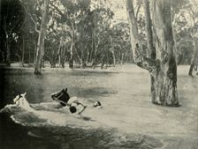 "A Banker", 1901. Creator: Unknown