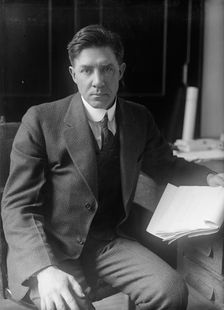 A. Barkman, Department of Labor, 1918. Creator: Harris & Ewing