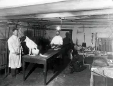 A basement (possibly the pre-operative room in the Physiology Department), Imperial..., 1904. Creator: Unknown