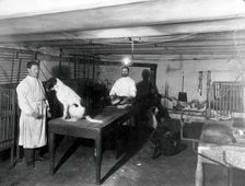 A basement (possibly the pre-operative room in the Physiology Department), Imperial..., 1904. Creator: Unknown