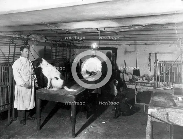 A basement (possibly the pre-operative room in the Physiology Department), Imperial..., 1904. Creator: Unknown.
