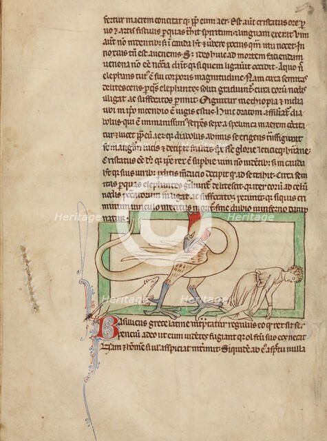 A Basilisk; Northumberland Bestiary, about 1250-1260. Creator: Unknown.