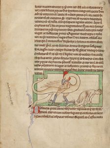 A Basilisk; Northumberland Bestiary, about 1250-1260. Creator: Unknown