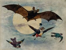 A bat and three fully dressed birds flying by moonlight, 1900. Creator: George Hope Tait