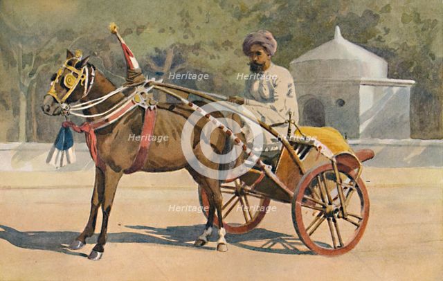 'A Benares Ekka', c1880 (1905). Creator: Alexander Henry Hallam Murray.