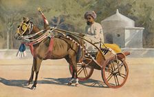 A Benares Ekka c1880 (1905). Creator: Alexander Henry Hallam Murray