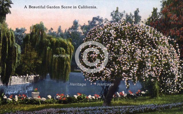 'A Beautiful Garden Scene in California', USA, 1915. Artist: Unknown
