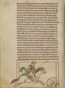 A Beaver; Northumberland Bestiary, about 1250-1260. Creator: Unknown