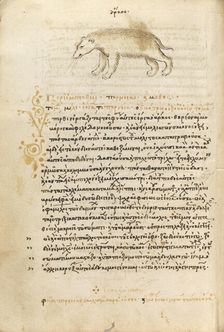 A Bear, 1510-1520. Creator: Unknown