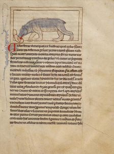 A Bear; Northumberland Bestiary, about 1250-1260. Creator: Unknown