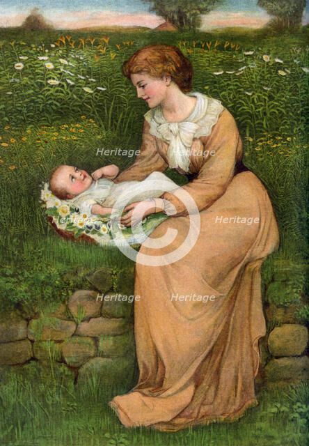 'A Bed of Daisies', 1905.  Artist: Alphage Brewer