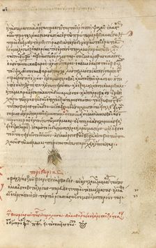 A Bee, 1510-1520. Creator: Unknown