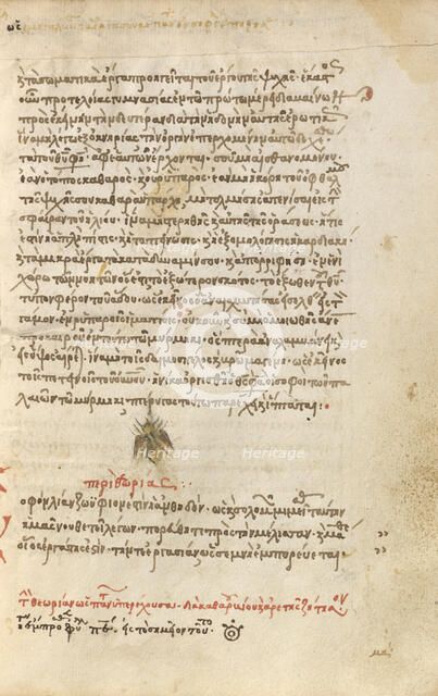 A Bee, 1510-1520. Creator: Unknown.