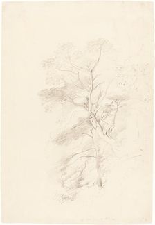 A Beech Wood, 1815. Creator: John Linnell the Elder