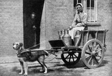 A Belgian milkwoman on her morning round, Belgium, 1922.Artist: Donald McLeish