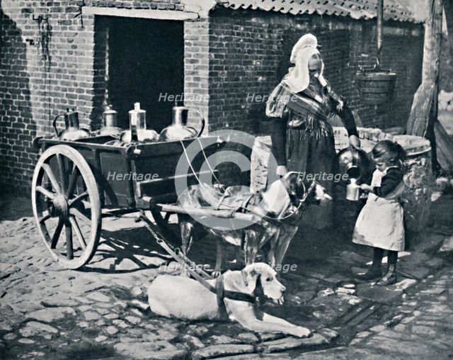 A Belgian peasant woman and her draught dogs, 1912. Artist: Neurdein freres.