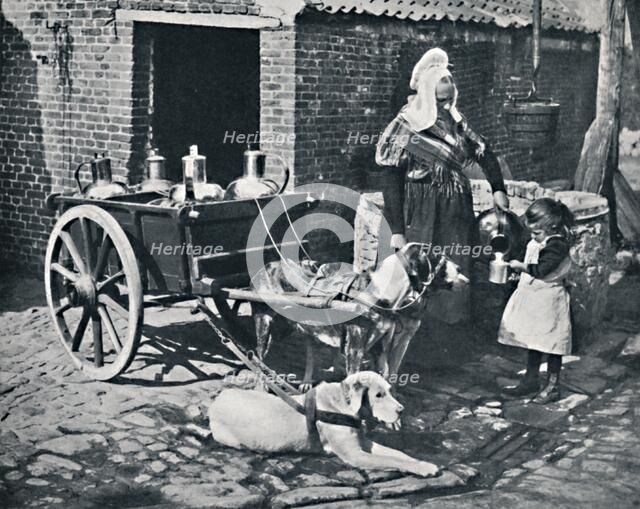 A Belgian peasant woman and her draught dogs, 1912. Artist: Neurdein freres.