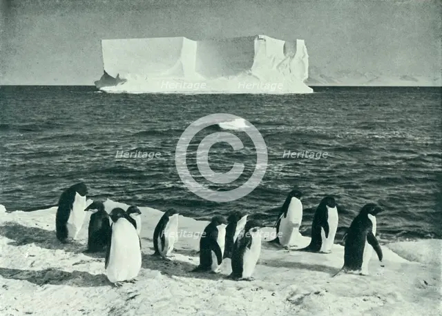 'A Berg Drifting in McMurdo Sound', c1910–1913, (1913).  Artist: Herbert Ponting.