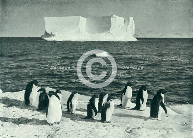 'A Berg Drifting in McMurdo Sound', c1910–1913, (1913).  Artist: Herbert Ponting.
