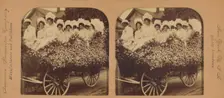 A bevy of beautiful belles in a fine floral float, Los Angeles, Cal., U.S.A., 1901. Creator: RY Young