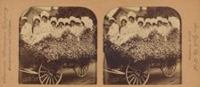 A bevy of beautiful belles in a fine floral float, Los Angeles, Cal., U.S.A., 1901. Creator: RY Young