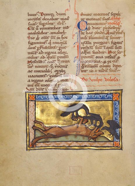 A Bird on a Dead Wolf; Bestiary, about 1270. Creator: Unknown.