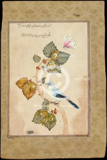 A Bird on a Hazel Branch. Artist: Shafi Abbasi, Muhammad (1628-c. 1674)