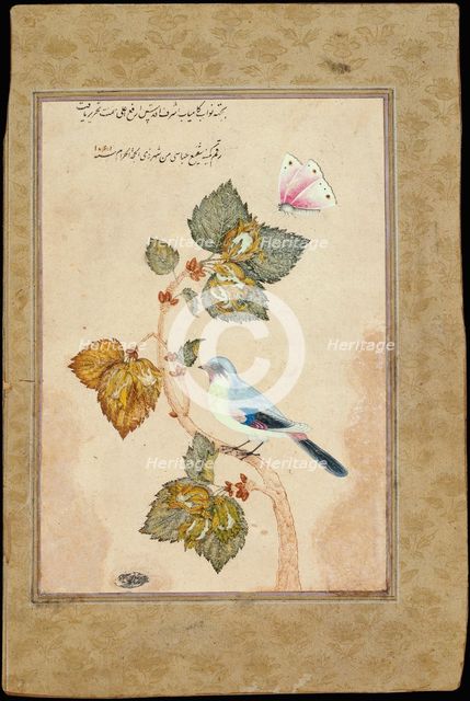A Bird on a Hazel Branch. Artist: Shafi Abbasi, Muhammad (1628-c. 1674)