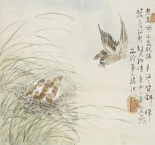 A bird carrying food in its mouth, 1857. Artist: Jin Yuan