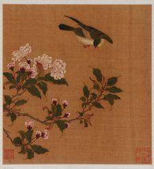 A bird hovering over blossoming branches, Qing dynasty, 18th century. Creator: Unknown