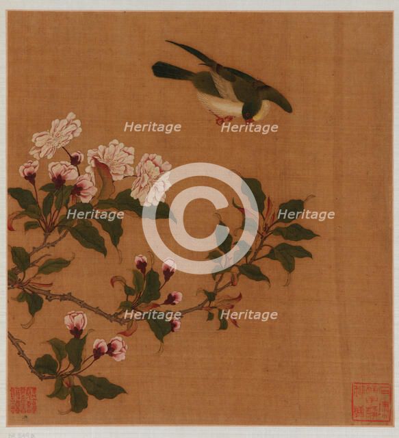 A bird hovering over blossoming branches, Qing dynasty, 18th century. Creator: Unknown.