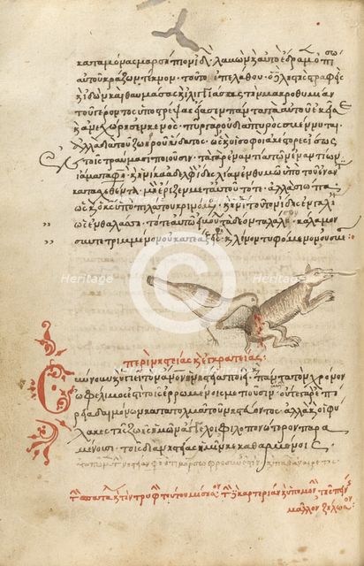 A Bird Pecking at an Animal; Miscellany: Physiologus: other texts, 1510-1520. Creator: Unknown.