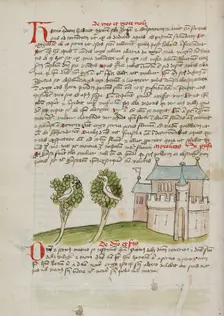 A Bird Perched in a Tree near a Town; Fables, third quarter of 15th century. Creator: Unknown