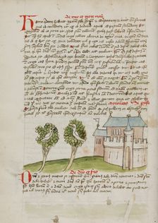 A Bird Perched in a Tree near a Town; Fables, third quarter of 15th century. Creator: Unknown