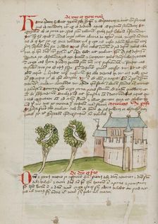 A Bird Perched in a Tree near a Town; Fables, third quarter of 15th century. Creator: Unknown
