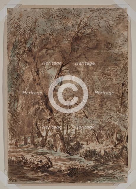A - Birding, between 1812 and 1867. Creator: Theodore Rousseau.