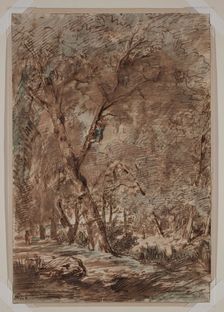 A - Birding, between 1812 and 1867. Creator: Theodore Rousseau