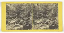 A Bit in the Trossachs, Mid 19th century. Creator: George Washington Wilson