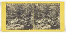 A Bit in the Trossachs, Mid 19th century. Creator: George Washington Wilson