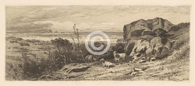 A Bit on Marblehead Neck, 1883. Creator: James David Smillie.