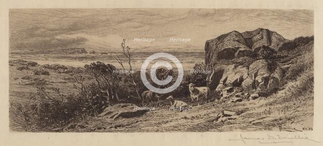 A Bit on Marblehead Neck, 1883. Creator: James David Smillie.