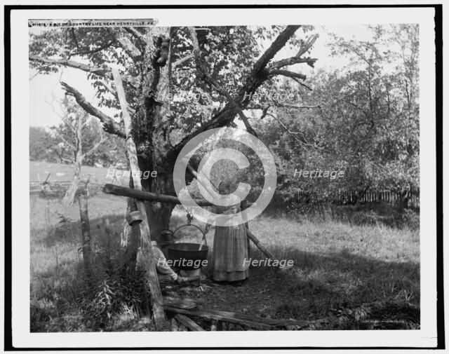 A Bit of country life near Henryville, Pa., c1900. Creator: Unknown.