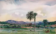 A bit of Rio's North-Western Suburbs, along the route of the Central Railway 1914
