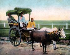 A Bombay reckla, India, early 20th century