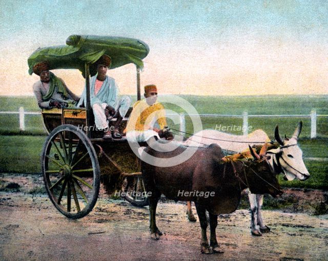 A Bombay reckla, India, early 20th century. Artist: Unknown