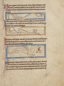 A Boa; A Jaculus; A Siren; Northumberland Bestiary, about 1250-1260. Creator: Unknown